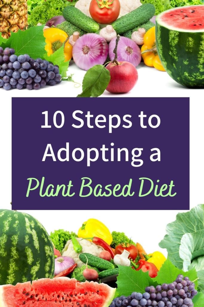 PInterest image for plant based diet tips