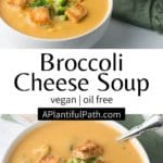 Pinterest image for Broccoli Cheese Soup