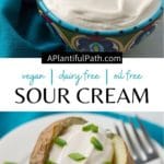 Pinterest image for dairy free sour cream