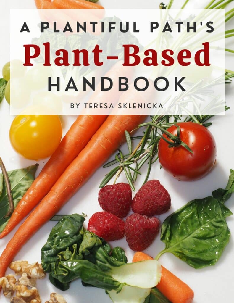 Image of Plant-Based Handbook cover with image of fruits and vegetables.