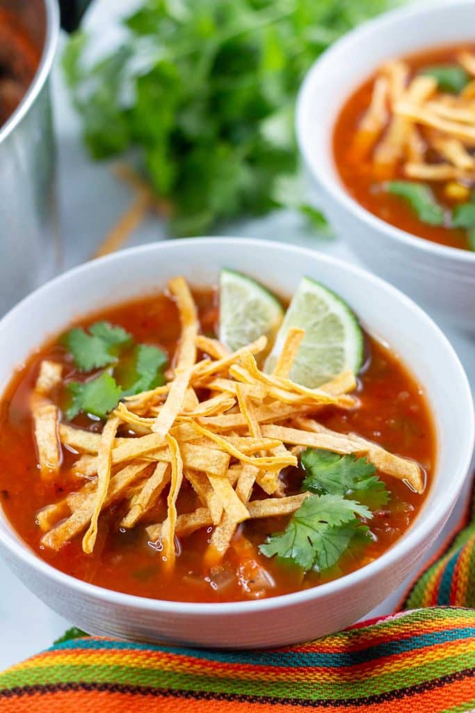 Two bowls of vegan tortilla soup with a brightly colored striped napkin in front and cilantro in the background.